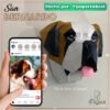 Perro San Bernardo Papercraft - Plantillas PDF