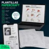Ajolote Papercraft - Plantillas PDF